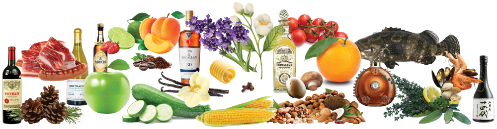 Aromas, Fruits, Vegetable, Flower, Nuts, Wine & Spirits