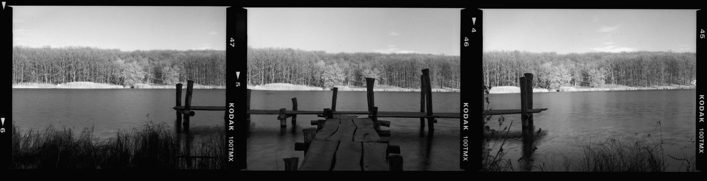Composed black and white photo serene lakeside scene aged wooden dock calm waters dense forest in the background