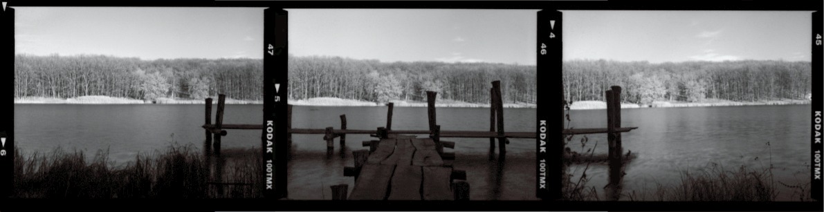 Composed black and white photo serene lakeside scene aged wooden dock calm waters dense forest in the background