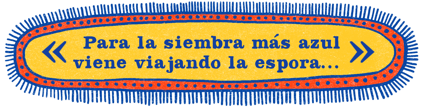 para la siembra más azul