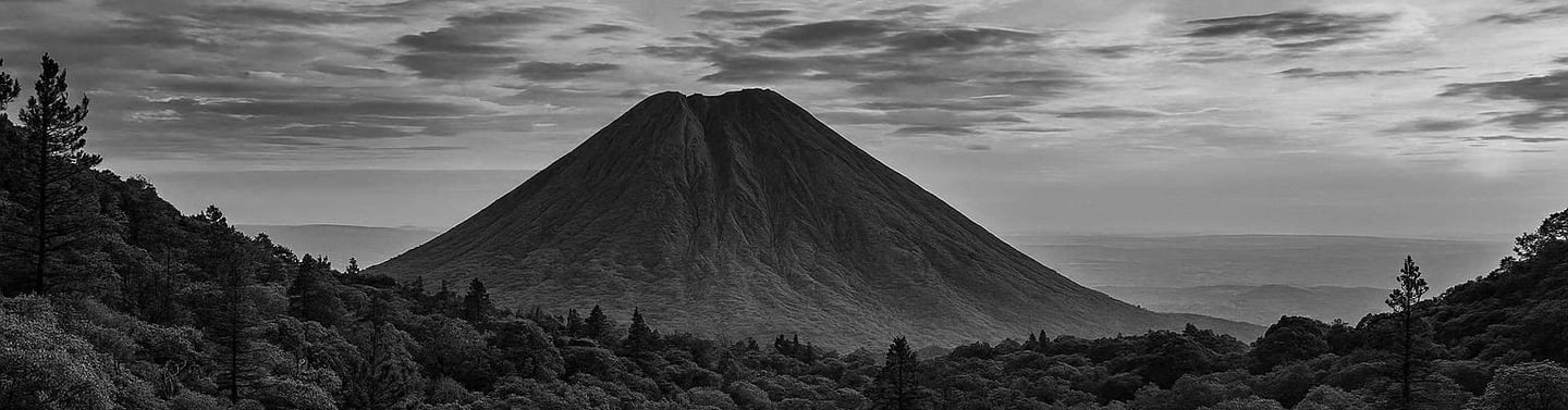 Voncano before a pine forest on the portfolio of William McCleary