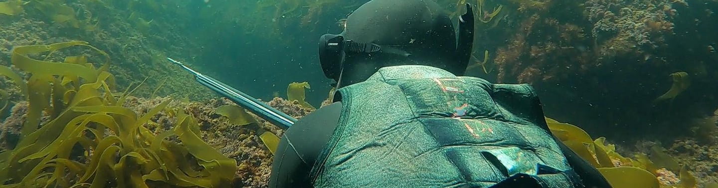 persona buceando haciendo pesca submarina, esperando en el fondo siendo sellectivo