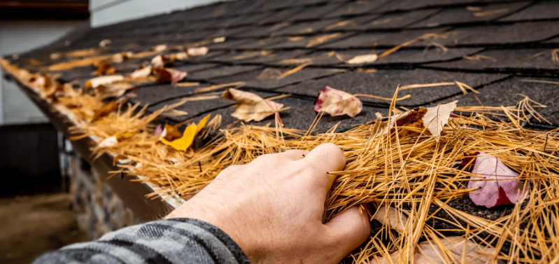 entretien cheneaux en ardeche et drome