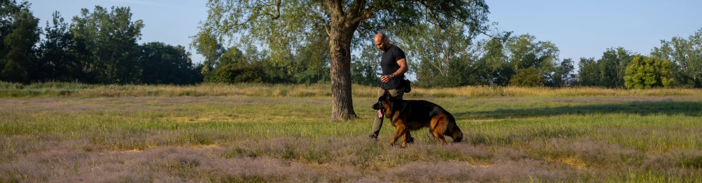 DiabK9 Hundetrainer aus Bremen bei Training