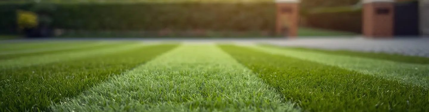 Entretien jardin régulier à Belfort – pelouse tondue et haie taillée