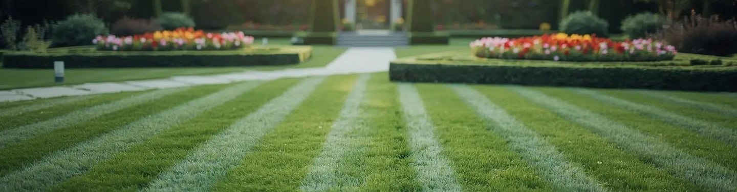 Jardinage à domicile à Belfort – pelouse tondue et haies taillées