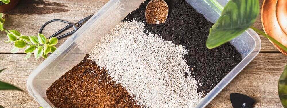 essential soil ingredients for houseplant soil mix