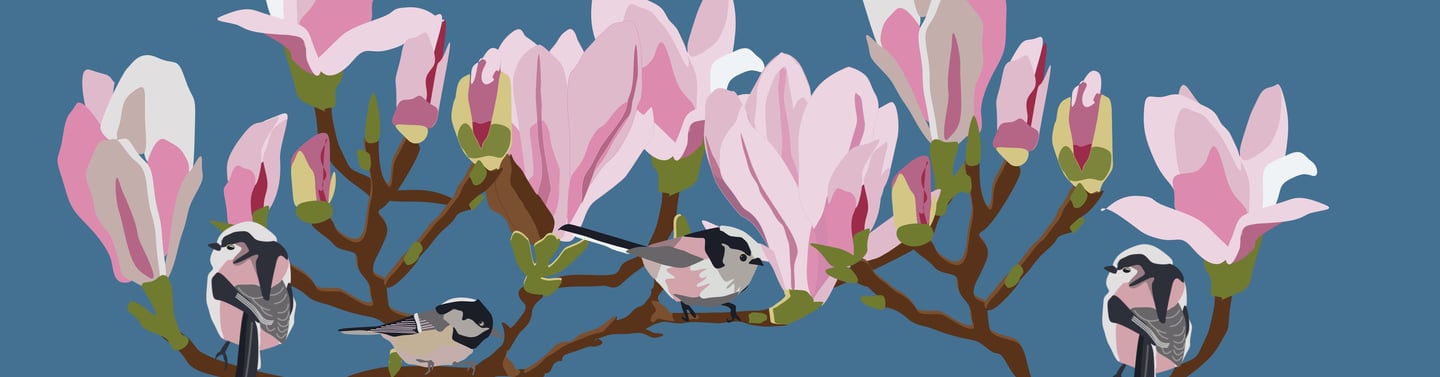 digital art magnolia flowers and chickadees 