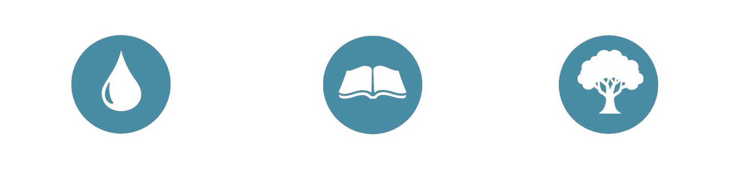 Packs de serveis PhotoMotion AI: Esència, Memòria i Legat per a l'animació de fotografies.