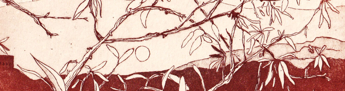 l'amandulu, gravure à l'eau forte - Alex Corkish