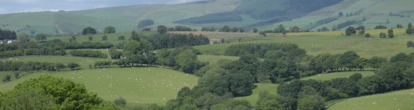 Field View from Twr-Ffoledd, Llanwrtyd Wells.