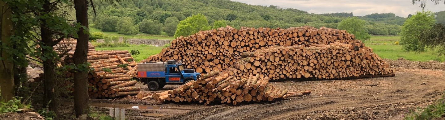 Timber Harvest Ellon