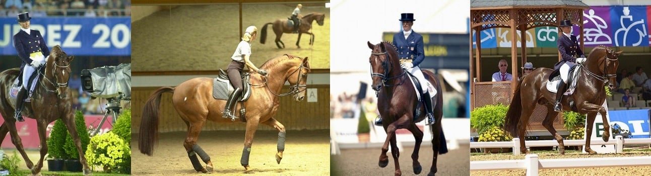 A collage of Olympian Lisa Wilcox riding Relevant 