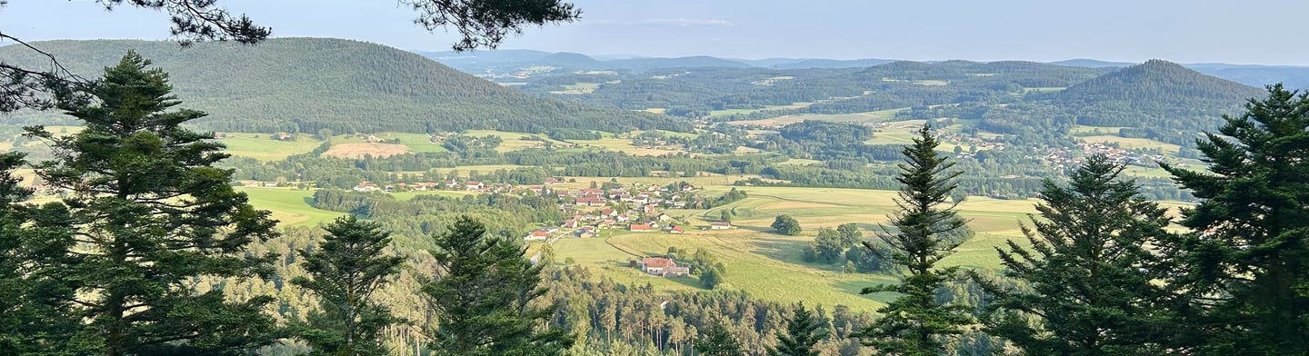 paysage nature des vosges