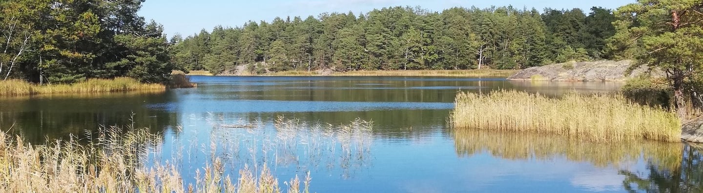 a lake in sweden, there are islands and fir trees. fish for pike in sweden.