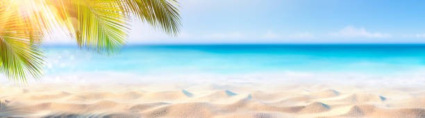 vacances coach sportif plage summer