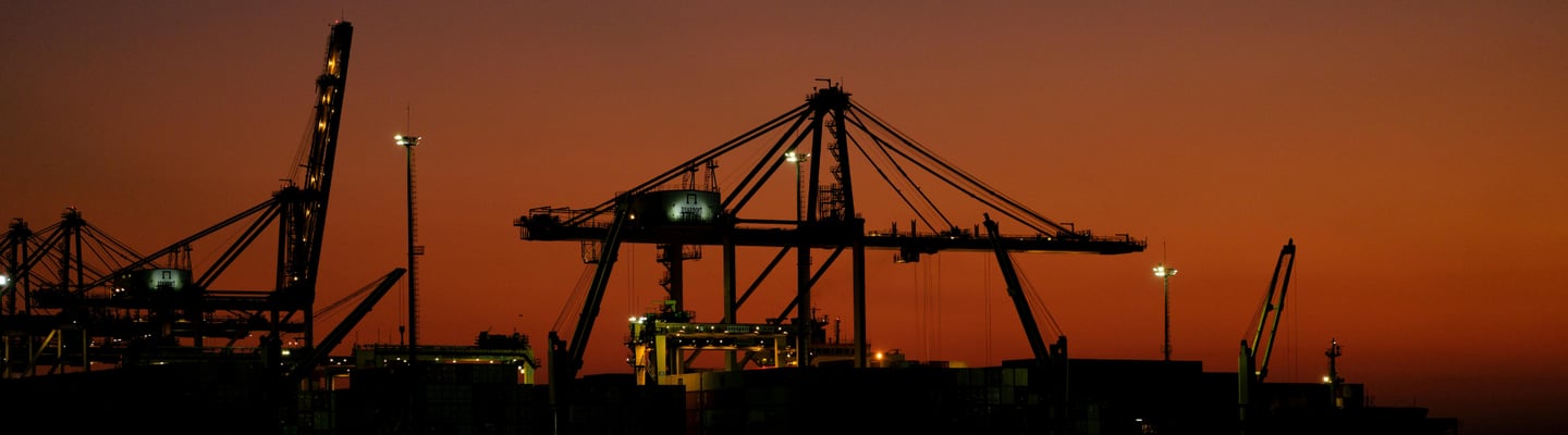 cocopeat exporters from India supplying premium growing media