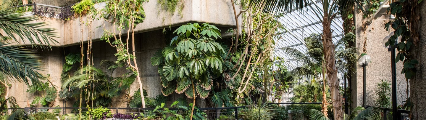 ROI of nature in Real Estate