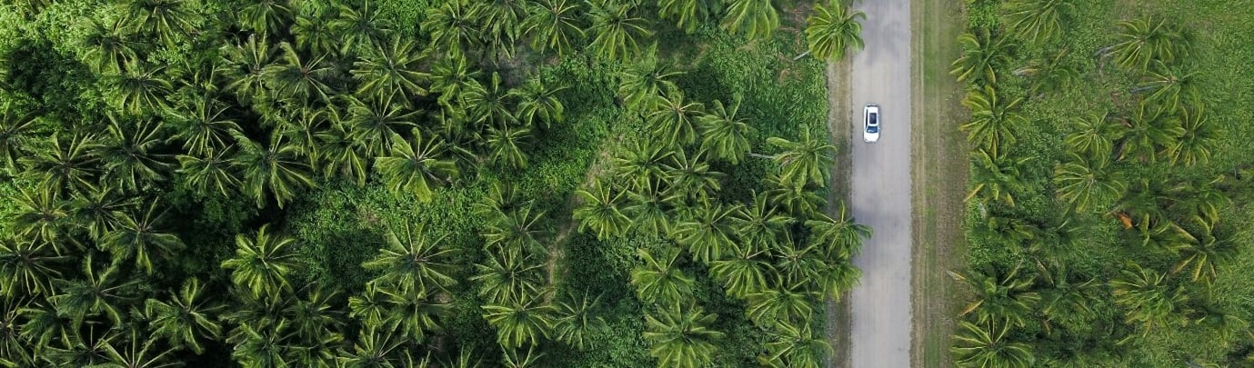 Carbon Credits and Renewable Energy Cetificates