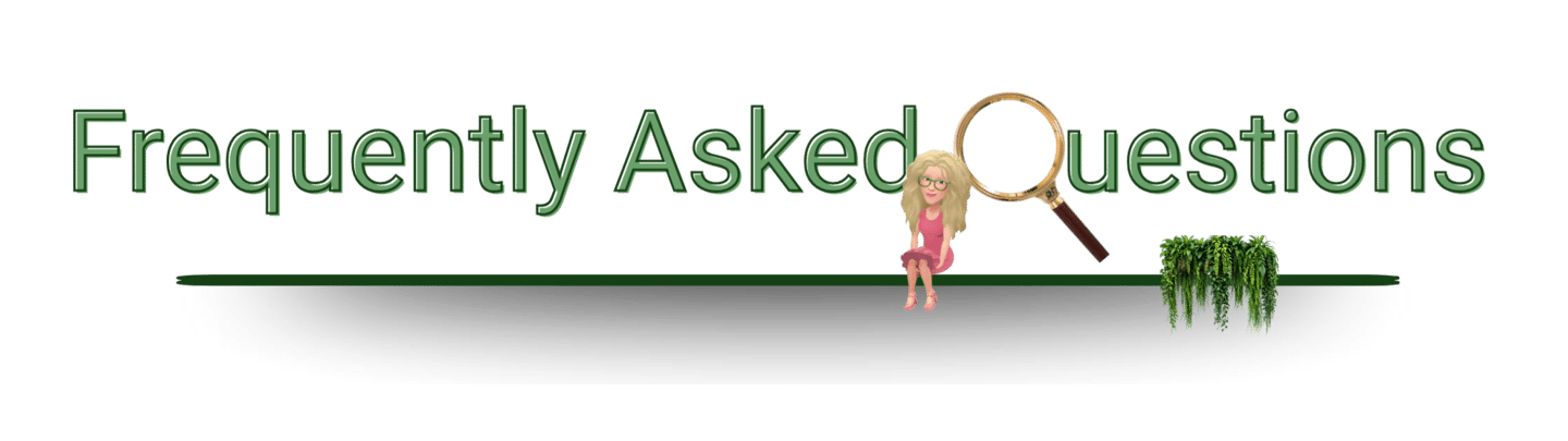 FAQ Curated Chaos Organizers