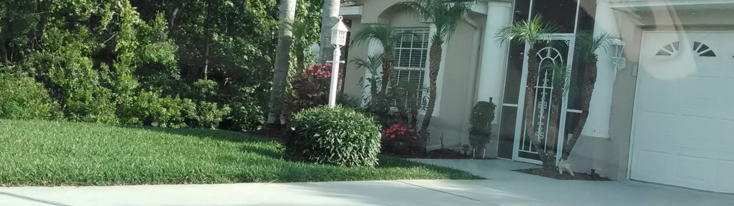 beautifully landscaped yard with st augustine grass and several hedges,palms and plants