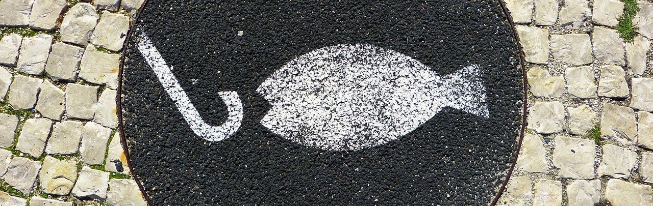 Are You Using the Wrong Hook Learn What Really Grabs Attention