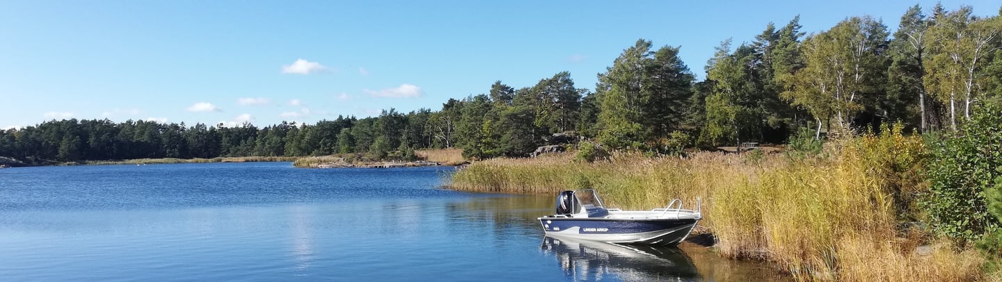 il y a un beau bateau de pêche sur un lac en suède , il y a du soleil, une foret et des roseaux.