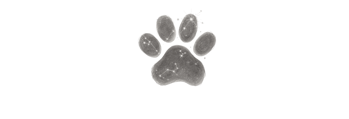 Paw print with constellation inside