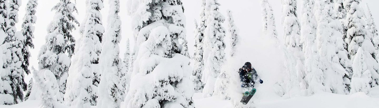 a person on a skis in the snow forest