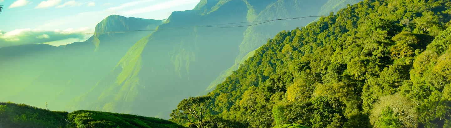 munnar