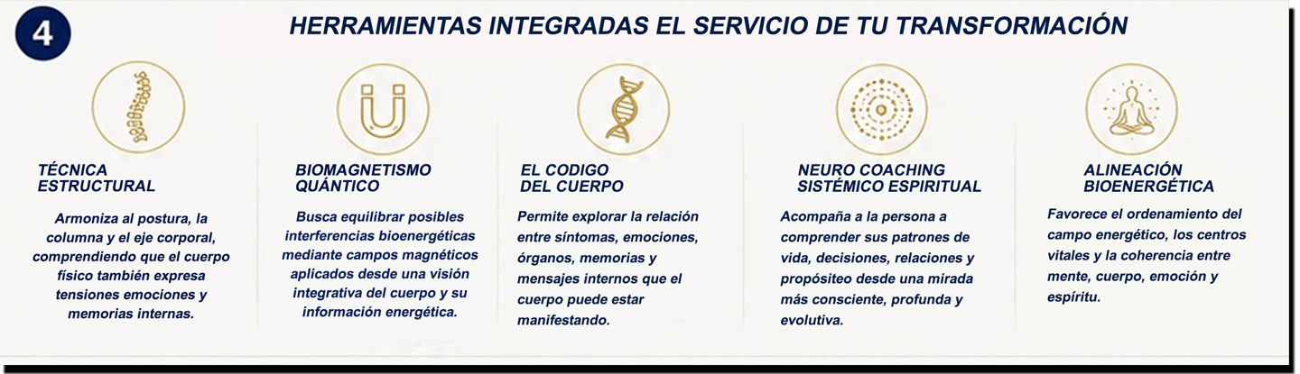 Clic para agrandar