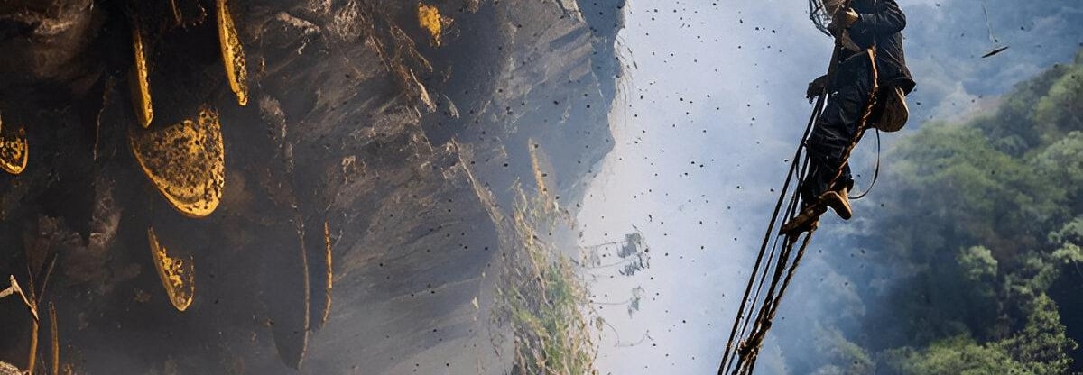 A honey hunter in protective gear climbs a rope ladder to harvest wild honeycomb from a steep cliff.
