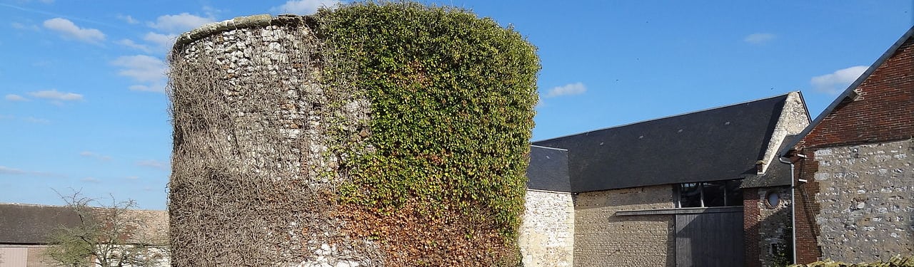 Photo du colombier du manoir de Gauciel 27930 - ATZ Diagnostic Immobilier