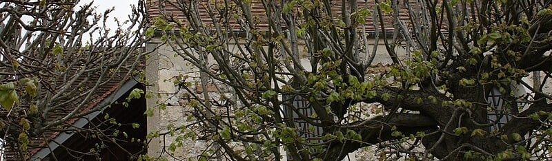 Photo de l'église Saint-Denis à Drocourt 78440 - ATZ Diagnostic Immobilier