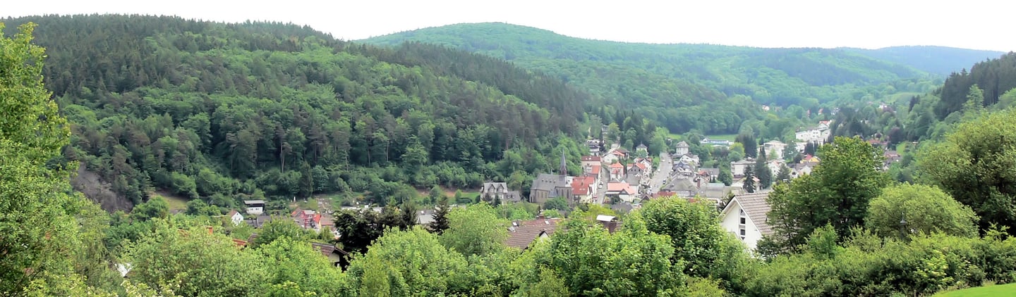 Schmitten eingebettet in bewaldeten Hügeln