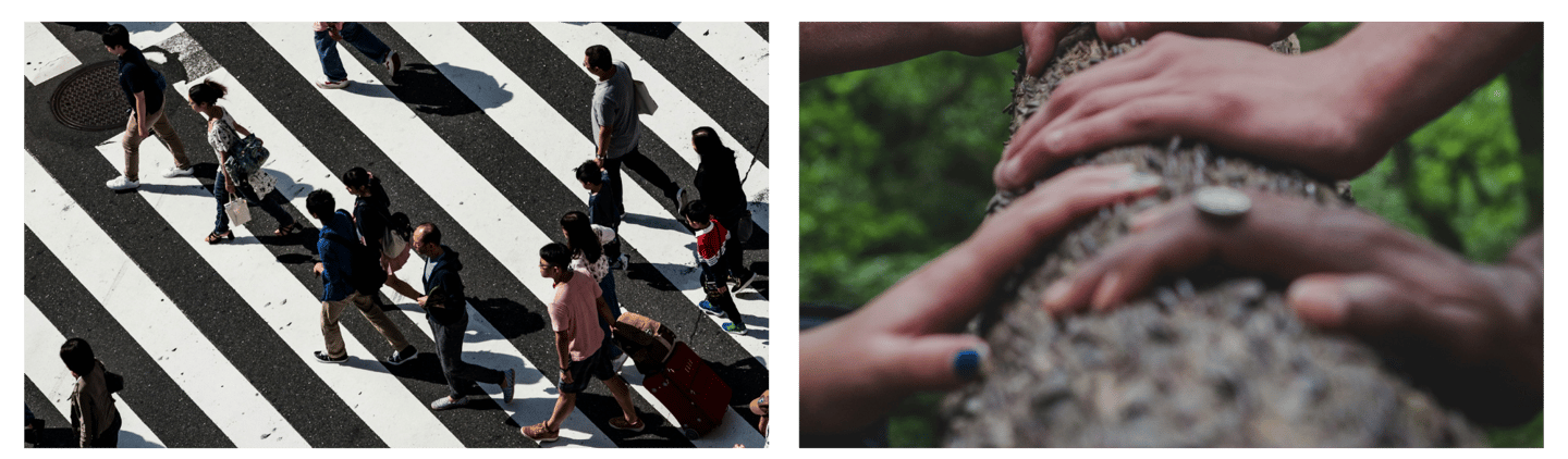 Links ein Bild mit schwarz-weißer Straße mit gehenden Menschen. Rechts ein baumstamm mit Händen 