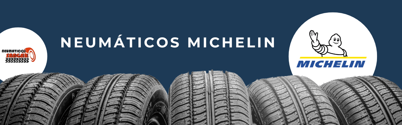 Neumáticos Michelin en Ávila