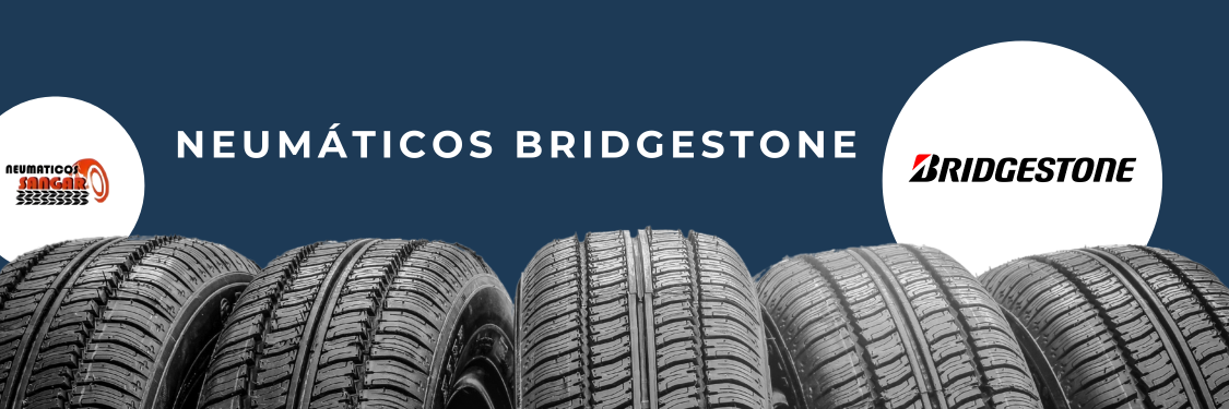 Neumáticos Bridgestone en Ávila