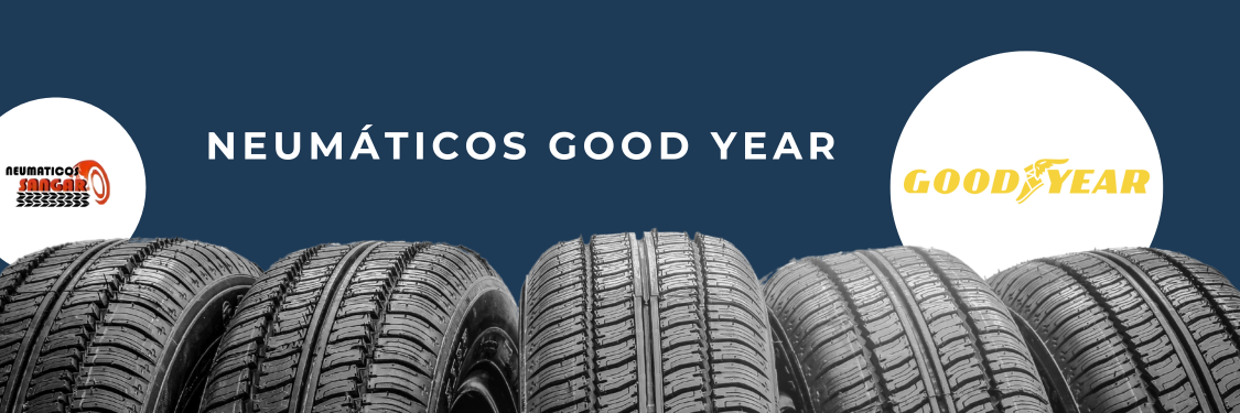 Neumáticos Good Year en Ávila