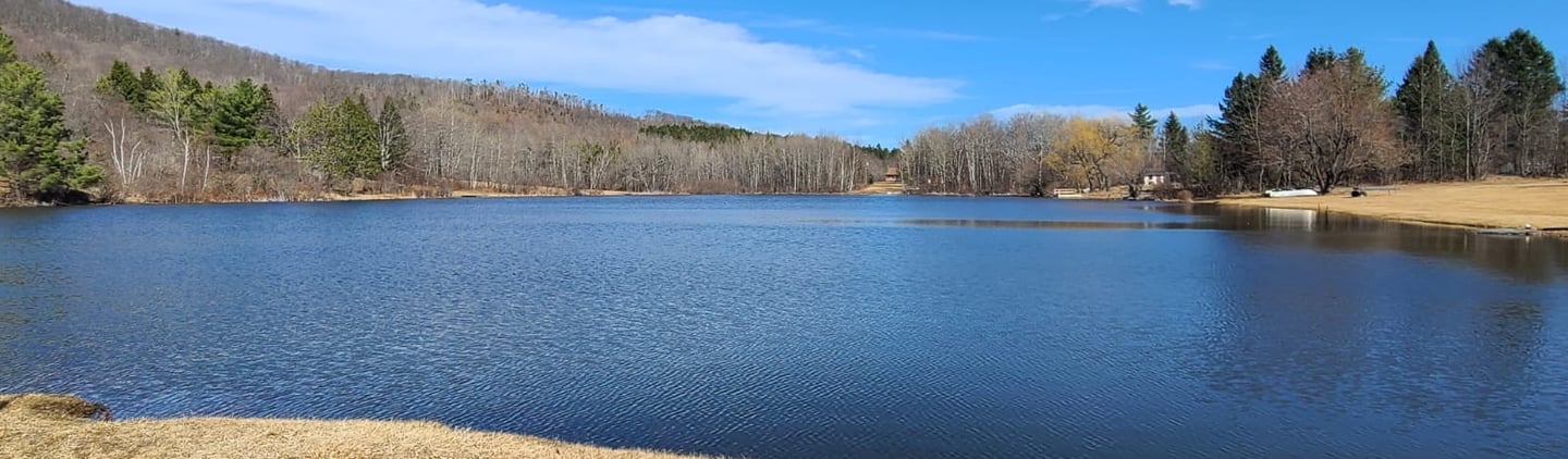 Cabin in Catskills NY - Ultimate Escape from City Life - Orange Door Catskills