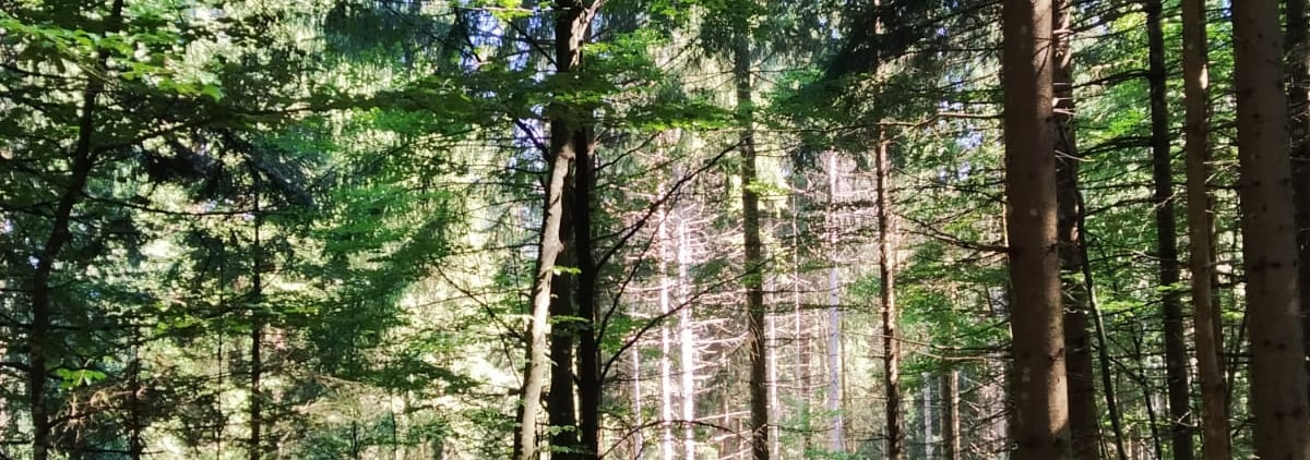 Bien commencer sa journée grâce à la sophrologie.
