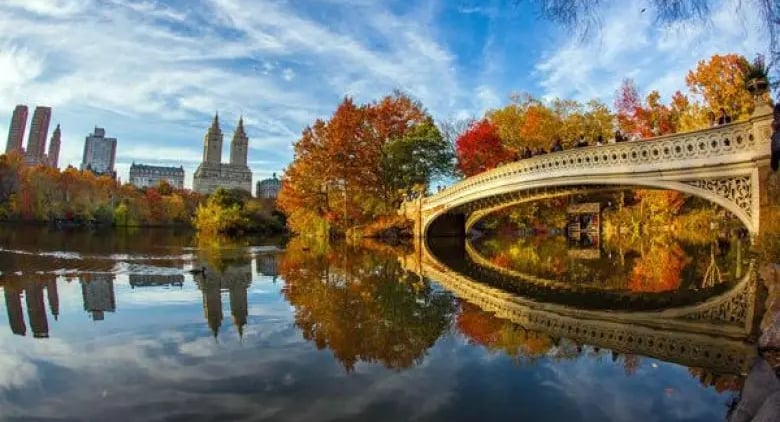 Central Park