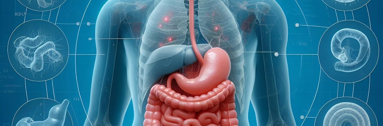 דרכי הקלה על מערכת העיכול, בחירות שעוזרות לעיכול