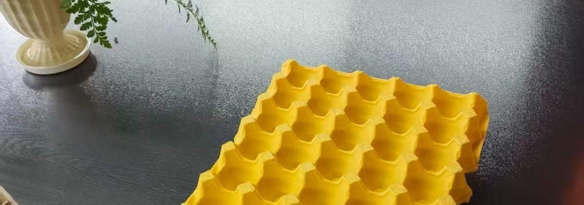 Plateaux d'œufs en carton recyclé produits par Onjerith Industrie SARL - Division Aviculture.