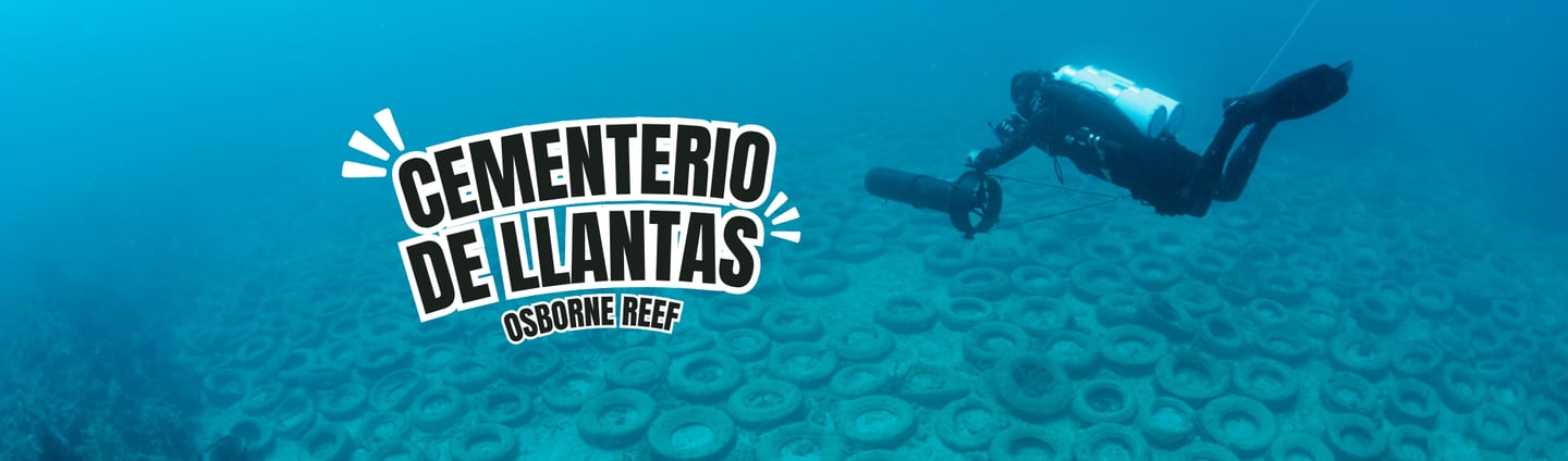 IMAGEN DE BUZO REVISANDO MUCHAS LLANTA EN EL FONDO DEL MAR