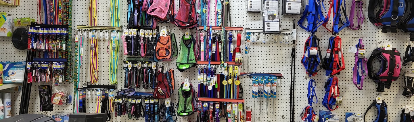 Dog collars-Pet Den