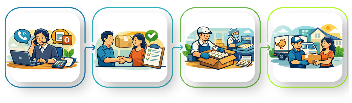 quy trình đặt hàng trứng chim cút Đông Anh, nguồn sỉ trứng chim cút bóc vỏ sẵn 