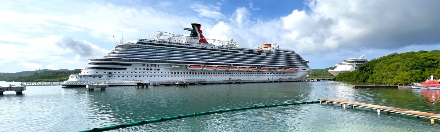 a cruise ship docked at a dock with people swimming in the water