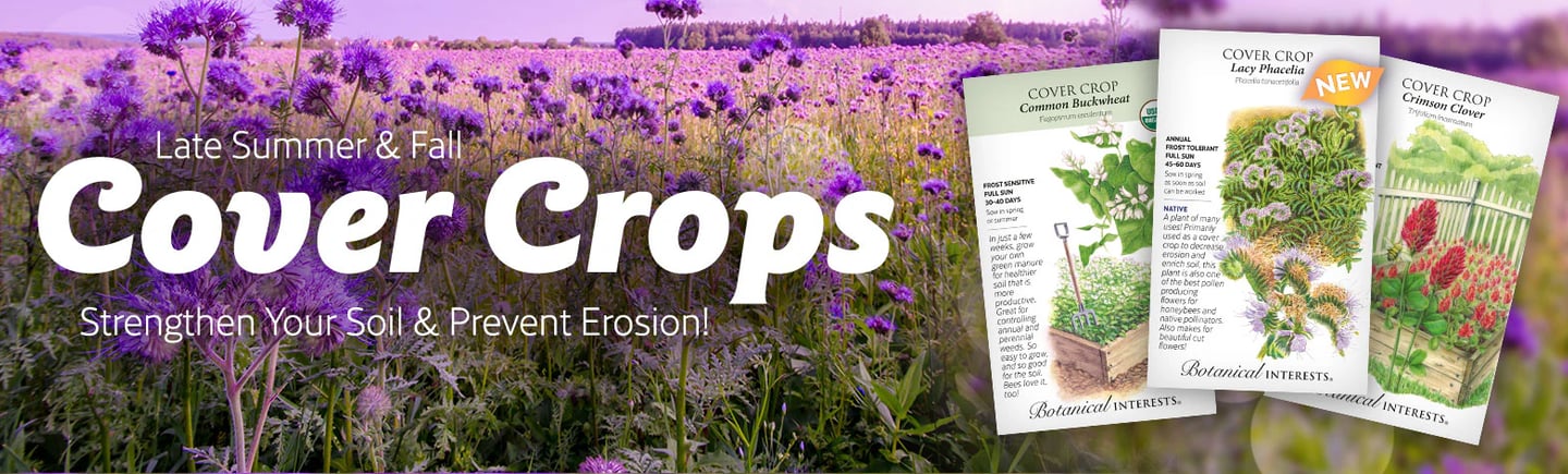 Cover Crops for Late Summer & Fall - Strengthen the Soil & Prevent Erosion