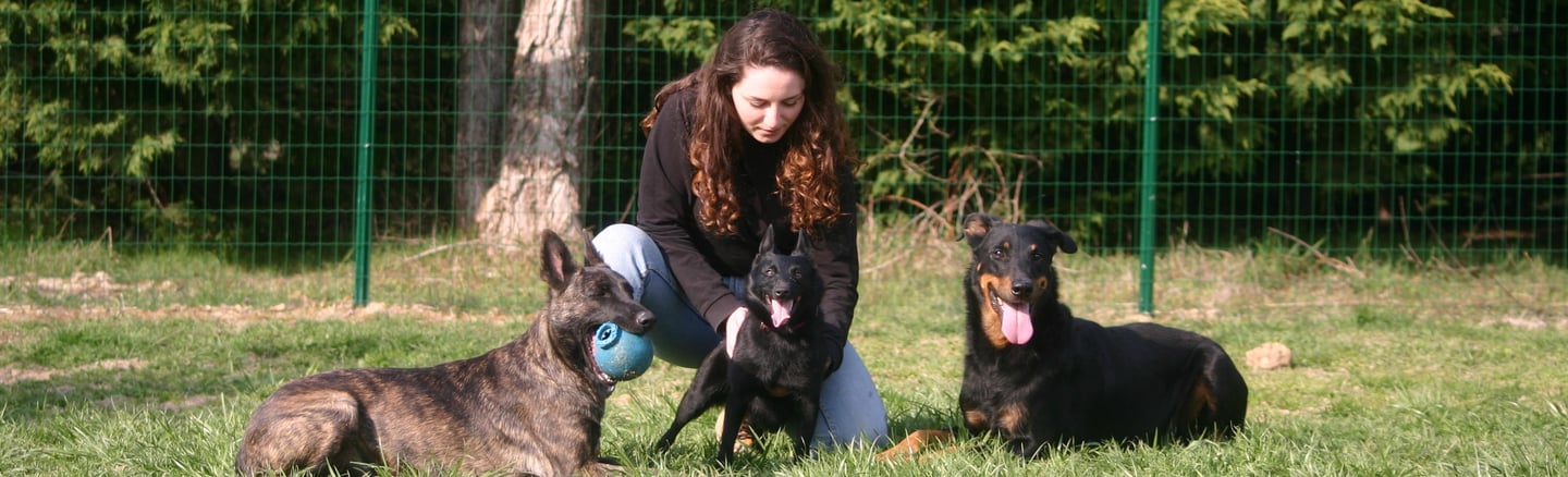 a woman is sitting on the grass with her dog